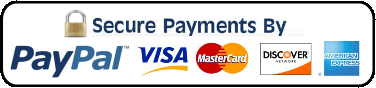 Secure Payments By Paypal Logo