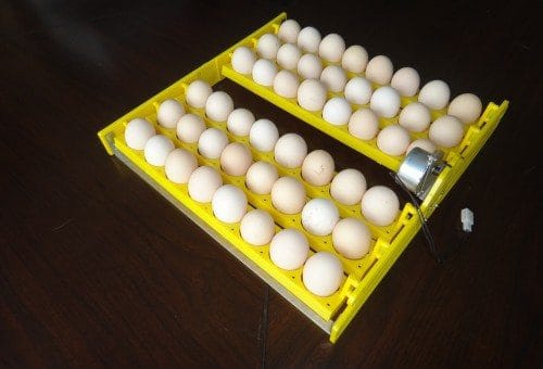 Buy automatic egg turner tray for incubator