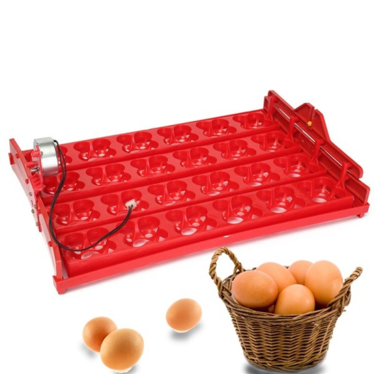 ✔ ✔ ✔ Automatic 12/48 Quail Egg Turner Tray with Motor 1/240 rpm  revolution ✔ 